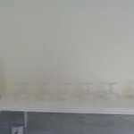 Sun & Steam In *