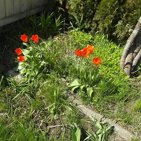 아파트 Sun & Steam In