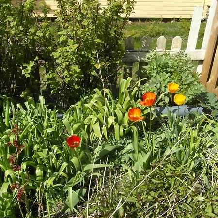 Apartmán Sun & Steam In Hanko