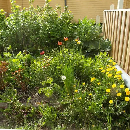 Sun & Steam In 公寓 *