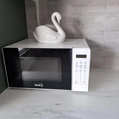 Sun & Steam In 항코