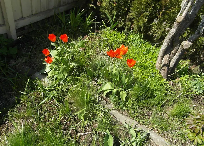 Sun & Steam In 公寓