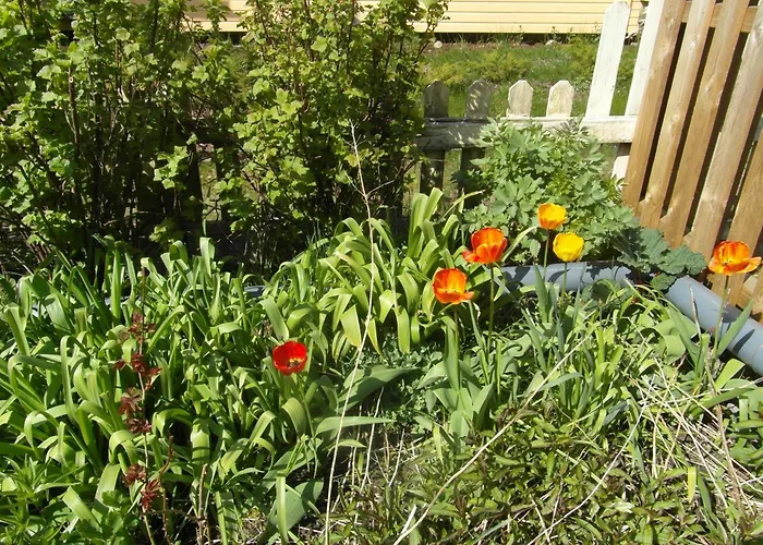 公寓 Sun & Steam In 汉科