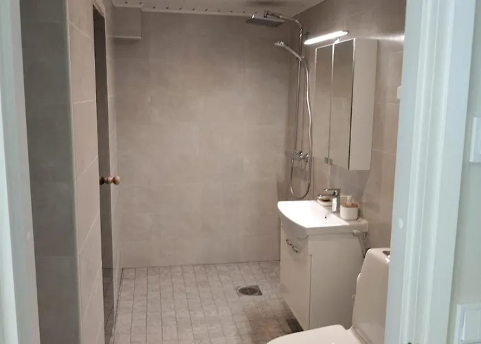 Sun & Steam In 公寓 汉科