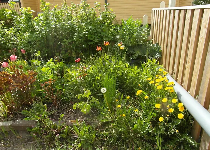 Sun & Steam In 公寓 *