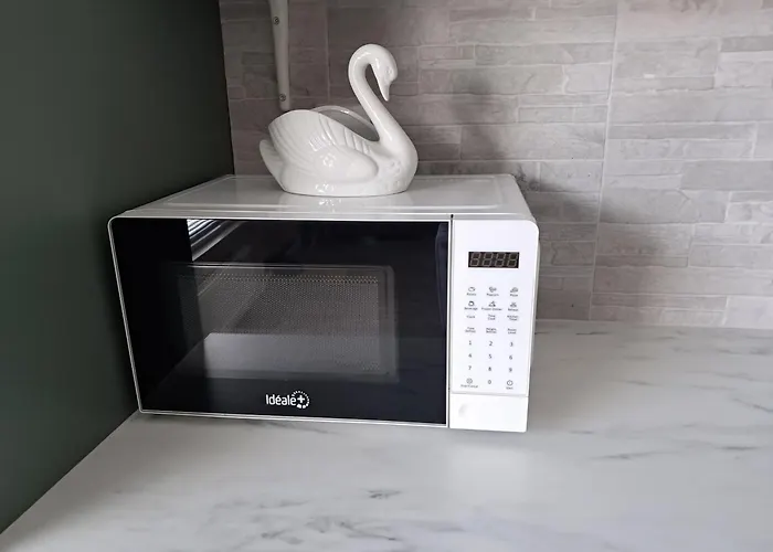 Sun & Steam In 汉科